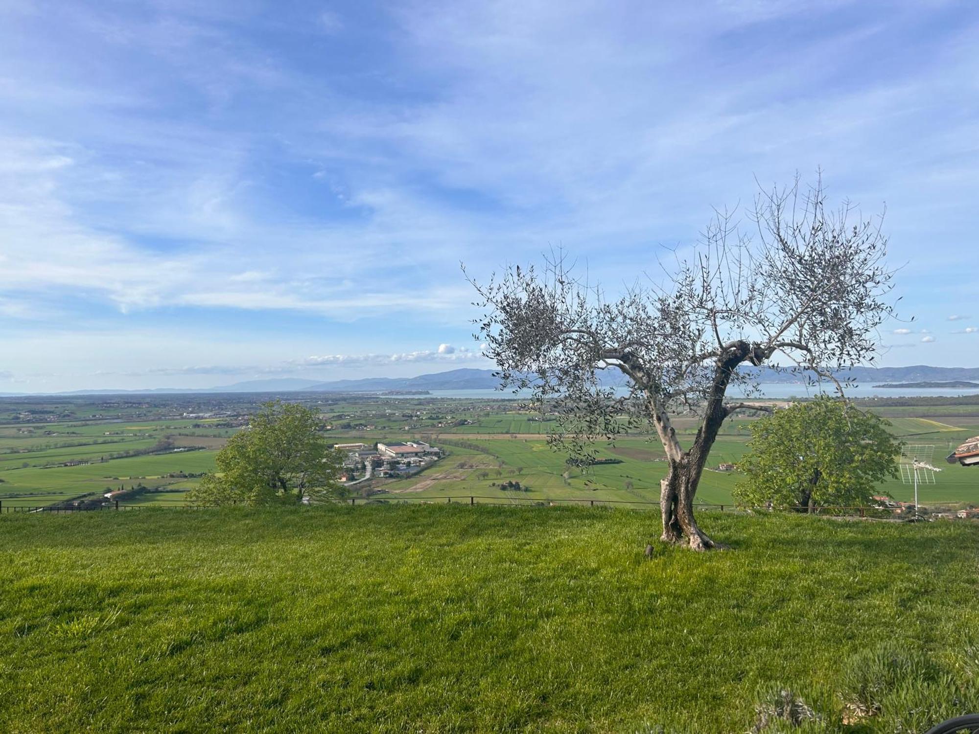 Boutique Hotel Masolino Panicale Exterior foto